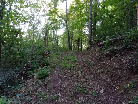 2100 Chambers Mountain Rd, Clyde, NC 28721 photo 9