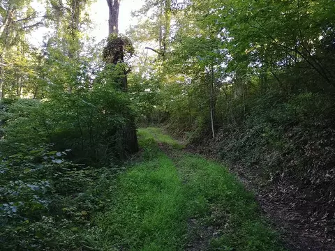 2100 Chambers Mountain Rd, Clyde, NC 28721