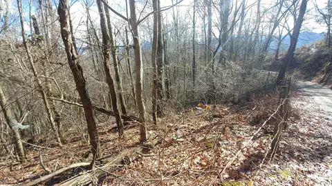2100 Chambers Mountain Rd, Clyde, NC 28721 photo 23