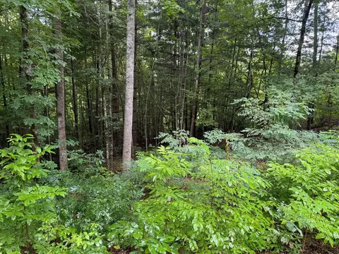lot6 Garnet Rd, Sylva, NC 28779 photo 4