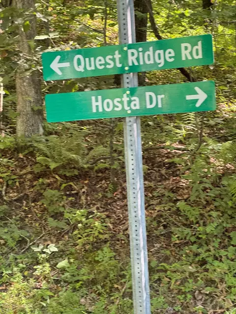 lot97 Hosta Dr, Sylva, NC 28779 photo 6