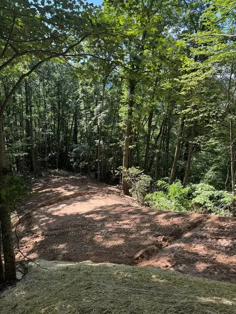 lot97 Hosta Dr, Sylva, NC 28779 photo 4