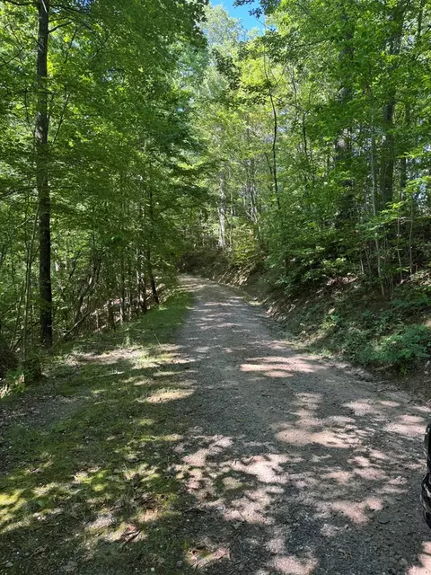lot97 Hosta Dr, Sylva, NC 28779 photo 5