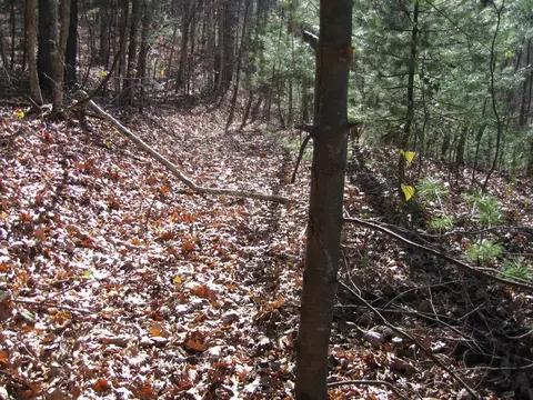 tbd Wedgewood Cv, Sylva, NC 28779 photo 17