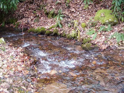 tbd Wedgewood Cv, Sylva, NC 28779