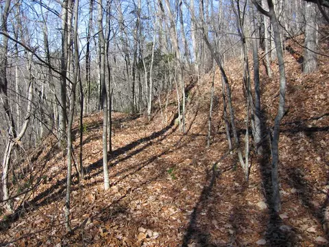 tbd Wedgewood Cv, Sylva, NC 28779 photo 14