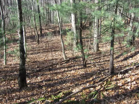 tbd Wedgewood Cv, Sylva, NC 28779 photo 16