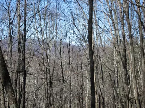 tbd Wedgewood Cv, Sylva, NC 28779 photo 5