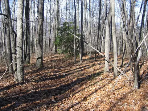 tbd Wedgewood Cv, Sylva, NC 28779 photo 9