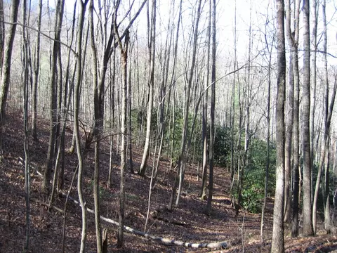 tbd Wedgewood Cv, Sylva, NC 28779 photo 4
