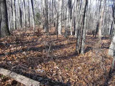 tbd Wedgewood Cv, Sylva, NC 28779 photo 7
