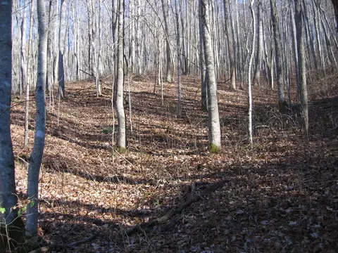 tbd Wedgewood Cv, Sylva, NC 28779 photo 19