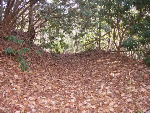 tbd Wedgewood Cv, Sylva, NC 28779 photo 21
