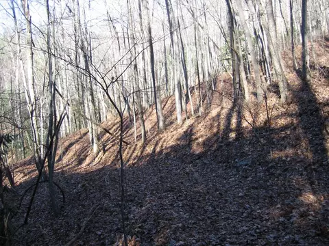 tbd Wedgewood Cv, Sylva, NC 28779 photo 20