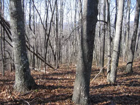 tbd Wedgewood Cv, Sylva, NC 28779 photo 8