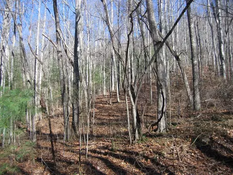 tbd Wedgewood Cv, Sylva, NC 28779 photo 3