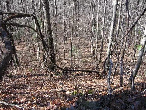 tbd Wedgewood Cv, Sylva, NC 28779 photo 15