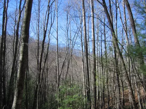 tbd Wedgewood Cv, Sylva, NC 28779 photo 2