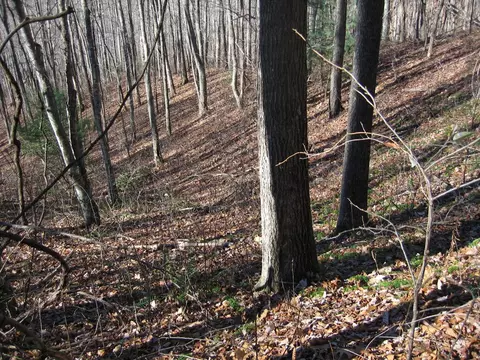 tbd Wedgewood Cv, Sylva, NC 28779 photo 18