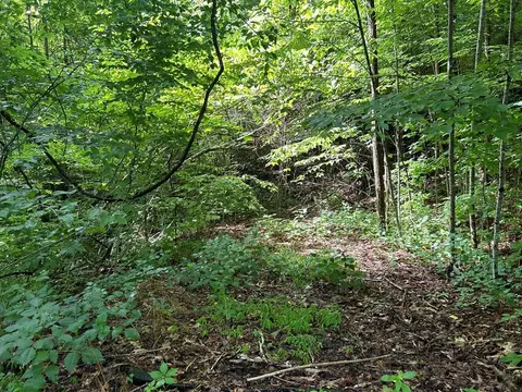 lot50 Grand View Ests, Whittier, NC 28789