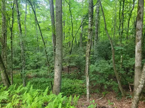 0 Wild Turkey Ln, Franklin, NC 28734