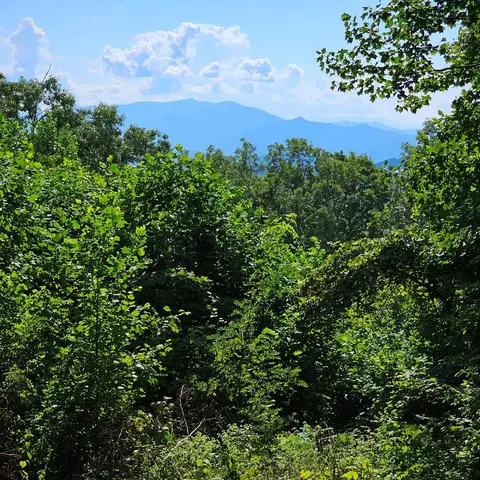 0 Lot 2c Pigeon Creek Rd, Bryson City, NC 28713