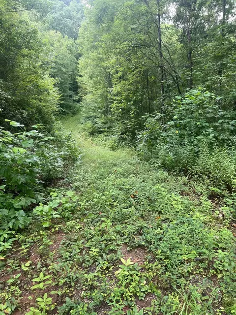 lot93 Garnet Rdg, Sylva, NC 28779 photo 4