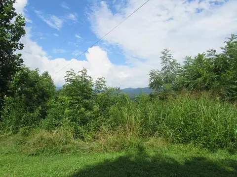 79 Rugrat, Whittier, NC 28789