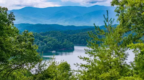 43 Turkey Path # -1, Bryson City, NC 28713