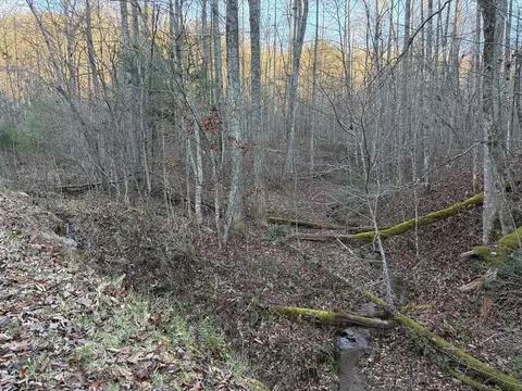 lot15 Gold Mountain High, Franklin, NC 28734