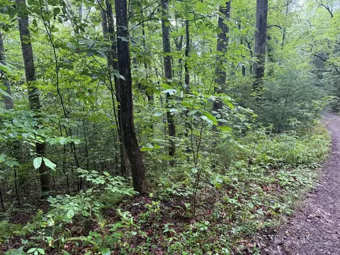lot14 Cedar Hill Rd, Franklin, NC 28734