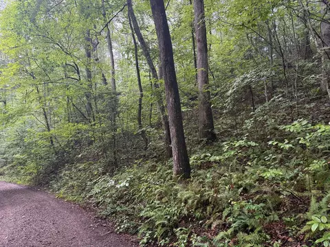 lot19 Cedar Hill Rd, Franklin, NC 28734