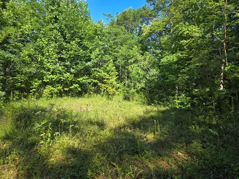000 Wedgewood Cv, Sylva, NC 28779 photo 12