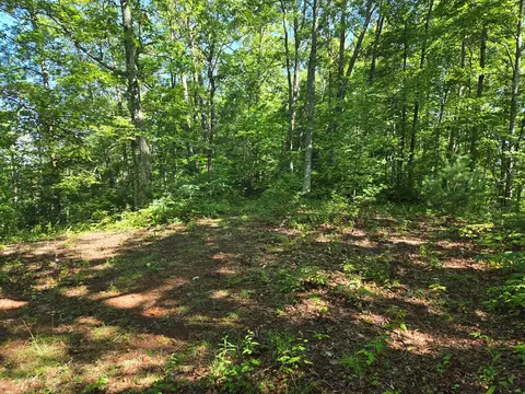 000 Wedgewood Cv, Sylva, NC 28779 photo 15