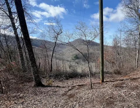 000 Wedgewood Cv, Sylva, NC 28779 photo 3