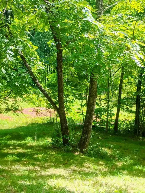 189 Gray Fox Rd, Franklin, NC 28734