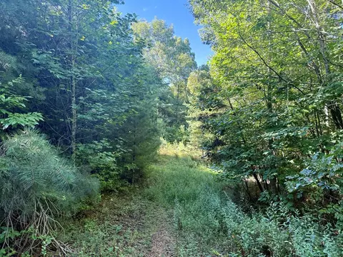 4 Moms Falls Rd, Topton, NC 28781