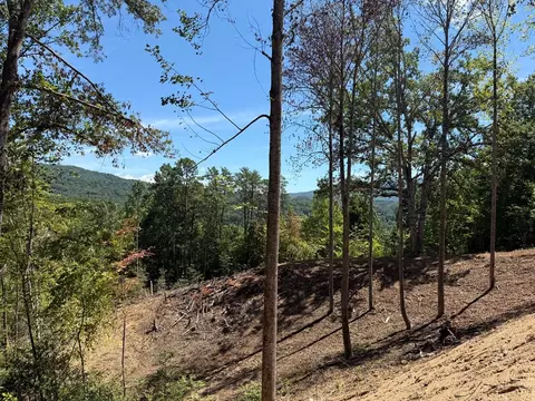 lot8 Miners Rdg, Bryson City, NC 28713