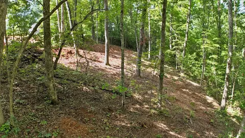 00 Pine Ridge Dr, Franklin, NC 28734