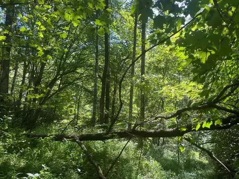 489 Lands Crk, Bryson City, NC 28713
