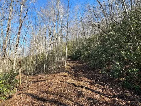0 Tbd Cliffside Dr, Hayesville, NC 28904 photo 23