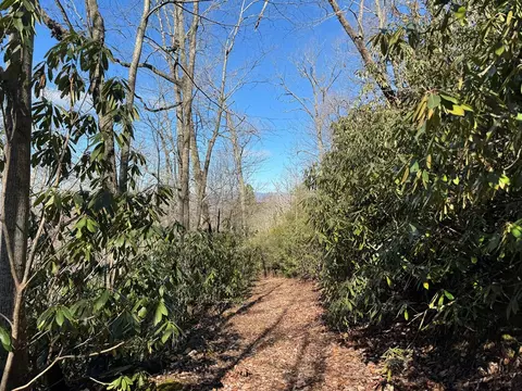 0 Tbd Cliffside Dr, Hayesville, NC 28904 photo 27