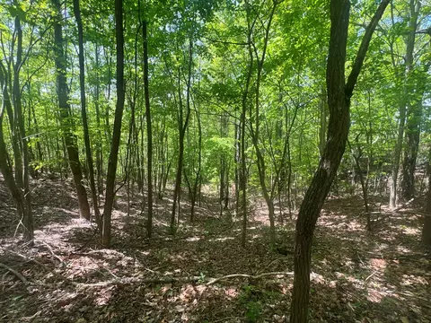 0 Tbd Cliffside Dr, Hayesville, NC 28904 photo 4