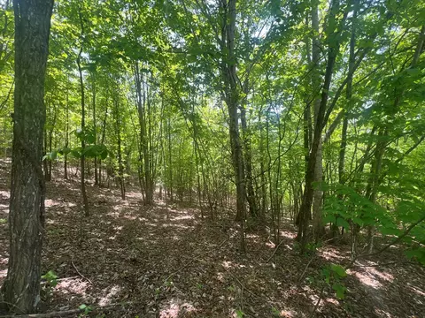 0 Tbd Cliffside Dr, Hayesville, NC 28904 photo 12