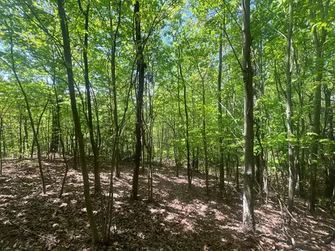 0 Tbd Cliffside Dr, Hayesville, NC 28904 photo 11