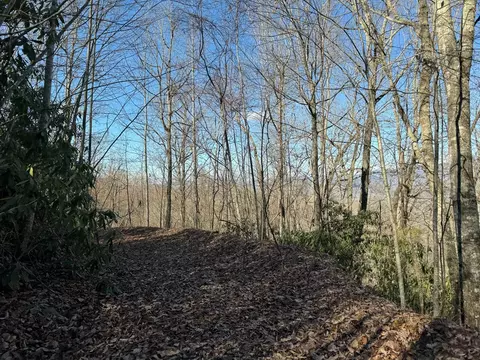 0 Tbd Cliffside Dr, Hayesville, NC 28904 photo 22