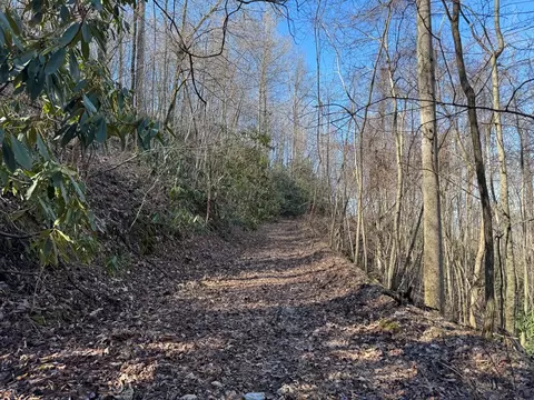 0 Tbd Cliffside Dr, Hayesville, NC 28904 photo 20