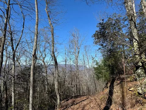 0 Tbd Cliffside Dr, Hayesville, NC 28904 photo 32