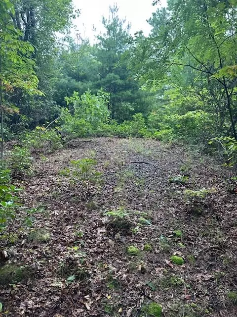 0 Crowfoot Trl, Bryson City, NC 28713