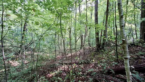 0 Cross Creek Cir, Sylva, NC 28779